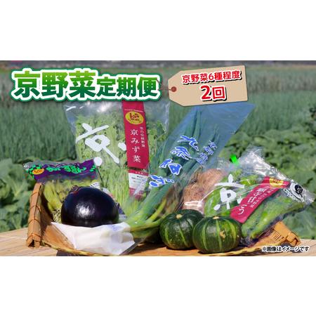 ふるさと納税 【野菜 定期便 2回】選りすぐり京野菜 6種程度 京都府