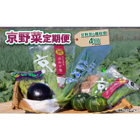 ふるさと納税 【野菜 定期便 4回】選りすぐり京野菜 6種程度 京都府