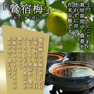 ふるさと納税 徳重おばあちゃんが受け継いだ梅肉...の詳細画像1
