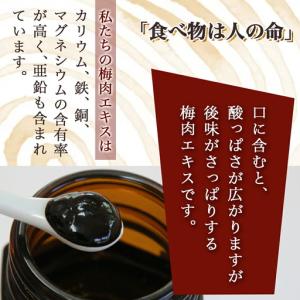 ふるさと納税 徳重おばあちゃんが受け継いだ梅肉...の詳細画像2