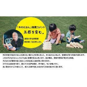 ふるさと納税 木のえほん6〜10巻セット(専用...の詳細画像2