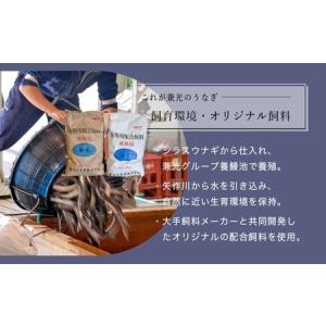 ふるさと納税 炭火手焼き 三河一色産 うなぎ蒲...の詳細画像1