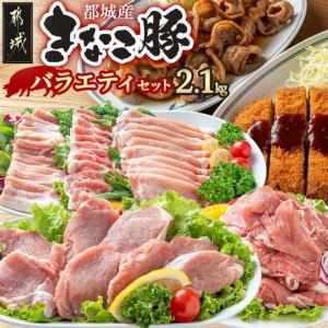 ふるさと納税 「きなこ豚」バラエティ2.1kgセ...の商品画像