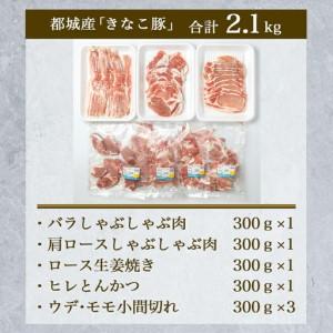 ふるさと納税 「きなこ豚」バラエティ2.1kg...の詳細画像2