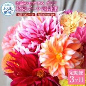 ふるさと納税 《3ヵ月定期便》 ダリア 花束 初回花瓶付 延命剤付き 高知県芸西村