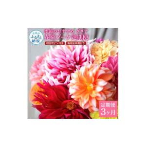 ふるさと納税 《3ヵ月定期便》 ダリア 花束 ...の詳細画像1