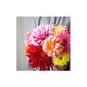 ふるさと納税 《3ヵ月定期便》 ダリア 花束 ...の詳細画像4