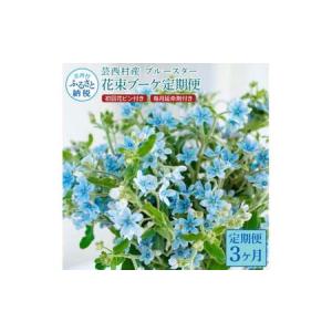 ふるさと納税 《3ヵ月定期便》 ブルースター ...の詳細画像1