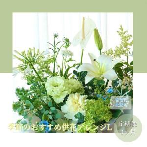ふるさと納税 《3ヵ月定期便》生花アレンジ 供花L 高知県芸西村