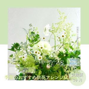ふるさと納税 《3ヵ月定期便》生花アレンジ 供...の詳細画像1