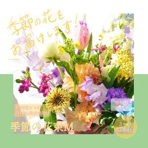 ふるさと納税 《3ヵ月定期便》生花花束 ブーケ 初回花瓶付M 延命剤付き 高知県芸西村