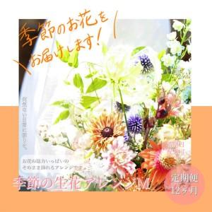ふるさと納税 《12ヵ月定期便》おすすめ生花アレンジメントM 高知県芸西村