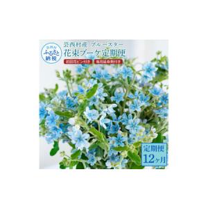 ふるさと納税 《12ヵ月定期便》 ブルースター...の詳細画像1