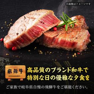 ふるさと納税 【12回定期便】飛騨牛ヒレステー...の詳細画像2