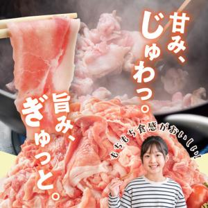 ふるさと納税 豚肉 「前田さん家のスウィートポ...の詳細画像2