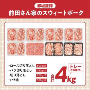 ふるさと納税 豚肉 「前田さん家のスウィートポ...の詳細画像3