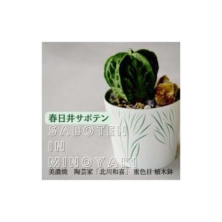 ふるさと納税 多治見市×春日井市コラボ 【美濃焼】 陶芸家「北川和喜」 重色目 植木鉢 × 【日本有...