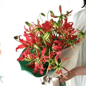 ふるさと納税 【3回定期便】生花グロリオサ花束...の詳細画像2