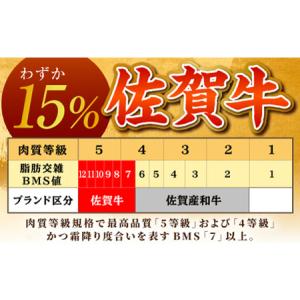 ふるさと納税 <全12回定期便>佐賀牛ヒレステ...の詳細画像2
