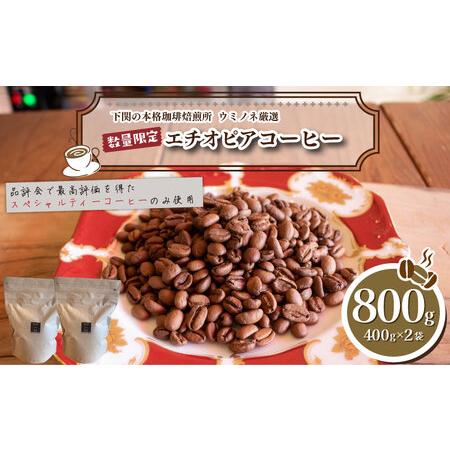 ふるさと納税 【浅煎り】訳ありコーヒー粉800g エチオピア 自家焙煎コーヒー EW 山口県下関市