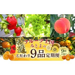 ふるさと納税 フルーツ王国みとよの特選こだわり9品定期便 香川県三豊市