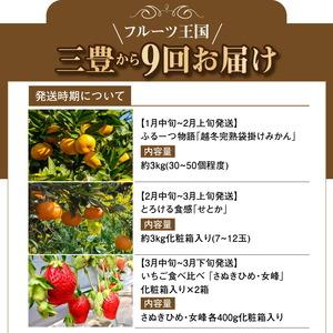 ふるさと納税 フルーツ王国みとよの特選こだわり...の詳細画像1