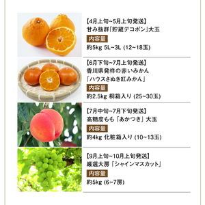 ふるさと納税 フルーツ王国みとよの特選こだわり...の詳細画像2