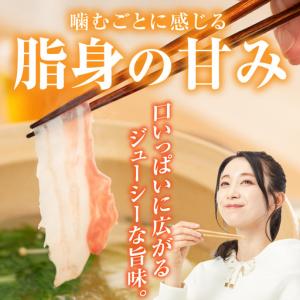 ふるさと納税 「都城美鮮豚」バラしゃぶ2.5k...の詳細画像1