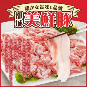 ふるさと納税 「都城美鮮豚」バラしゃぶ2.5k...の詳細画像2