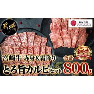 ふるさと納税 宮崎牛赤身＆霜降り【とろ旨カルビセット】800g_AC-6504_(都城市) 牛肉 牛もも焼肉用(500g) 牛肩ロース焼肉用(300g) 合計800グラム.. 宮崎県都城市