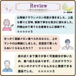 ふるさと納税 【通年出荷】クラウンメロン(山等...の詳細画像3