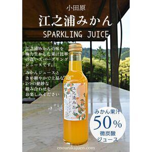 ふるさと納税 小田原産江之浦みかんスパークリングジュース果汁５０％２００ml３０本 神奈川県小田原市