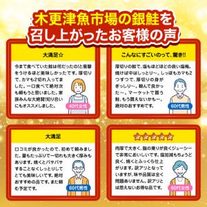 ふるさと納税 【訳あり】木更津魚市場直送!不揃...の詳細画像1