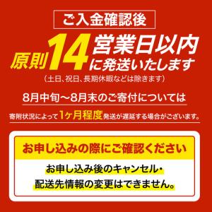 ふるさと納税 【訳あり】木更津魚市場直送!不揃...の詳細画像2