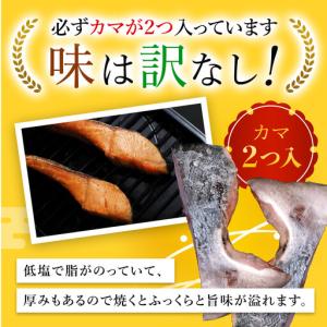 ふるさと納税 【訳あり】木更津魚市場直送!不揃...の詳細画像3
