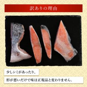 ふるさと納税 【訳あり】木更津魚市場直送!不揃...の詳細画像4
