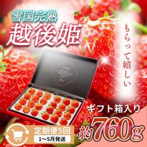 ふるさと納税 【先行予約 定期便5回】越後姫 いちご 雪国完熟 ダブル760g×5回 いちご 新潟県上越市