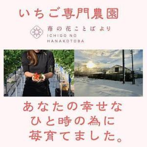 ふるさと納税 【先行予約 定期便5回】越後姫 ...の詳細画像1