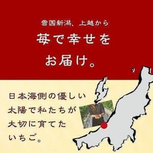 ふるさと納税 【先行予約 定期便5回】越後姫 ...の詳細画像2