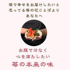ふるさと納税 【先行予約 定期便5回】越後姫 ...の詳細画像3