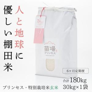 ふるさと納税 【令和8年産先行予約】【6ヶ月定期便】【農薬化学肥料5割減】魚沼コシヒカリ 苗場プリンセス 特別栽培米 玄米 30kg(10kg×3袋).. 新潟県津南町