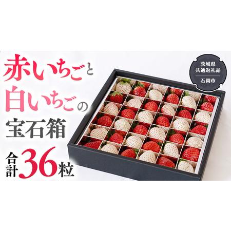 ふるさと納税 赤いちご と 白いちごの宝石箱 36粒 【令和6年12月から発送開始】（県内共通返礼品...