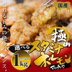 ふるさと納税 国産 極みの スタミナ ホルモン マルチョウ タレ揉み 1kg 250×4袋  小分け...