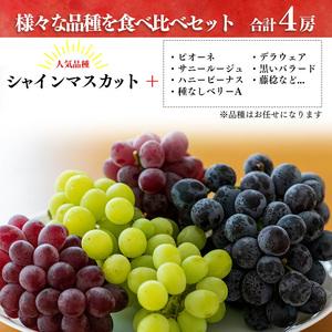 ふるさと納税 シャインマスカットと季節のぶどう...の詳細画像1