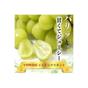 ふるさと納税 シャインマスカットと季節のぶどう...の詳細画像2