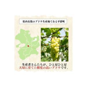 ふるさと納税 シャインマスカットと季節のぶどう...の詳細画像3