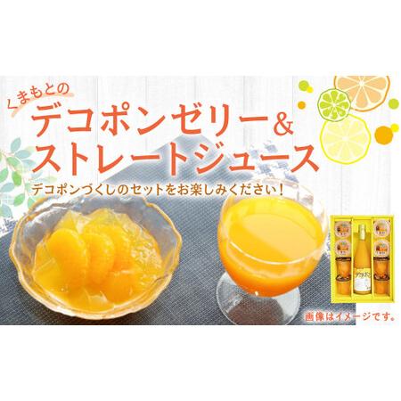 ふるさと納税 くまもとのデコポンゼリー ジュース セット 果物 柑橘 フルーツ デコポン ゼリー 熊...