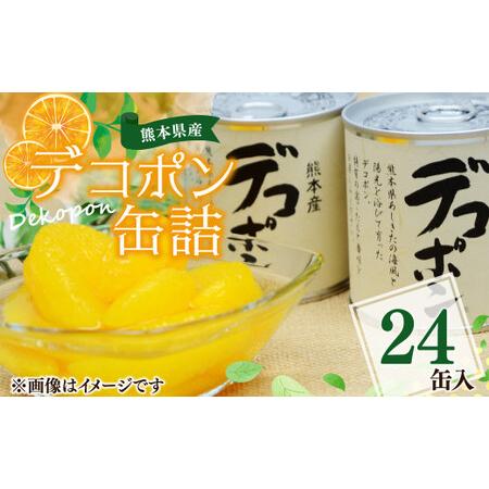 ふるさと納税 【熊本県産】 デコポン 缶詰 295g×24缶 果物 柑橘 フルーツ 熊本県水俣市