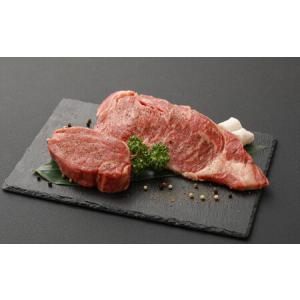 ふるさと納税 【定期便10か月】 熊本産 ステーキ 用 あか牛 定期便 10か月コース 熊本県水俣市