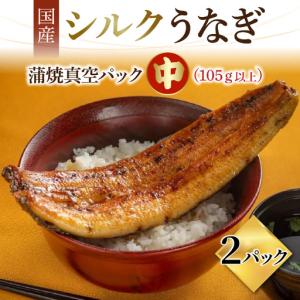ふるさと納税 【やなのうなぎ 観光荘】シルクうな...の商品画像